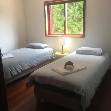 Catloc & Kitcat Local Apart Otel