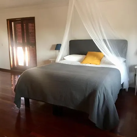 Catloc & Kitcat Local