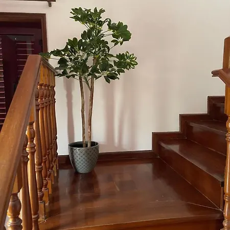 Catloc & Kitcat Local Costa de Além