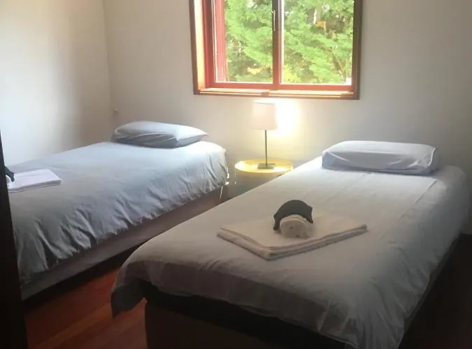 Catloc & Kitcat Local Lejlighedshotel