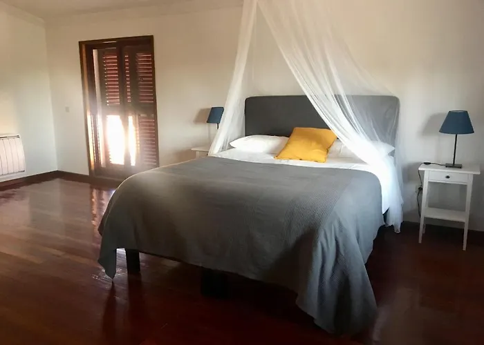 Catloc & Kitcat Local