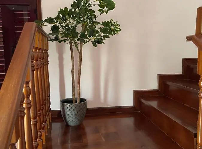 Catloc & Kitcat Local Costa de Além