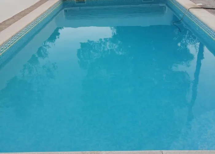 Catloc & Kitcat Local 3*