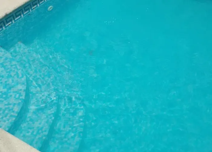 Catloc & Kitcat Local