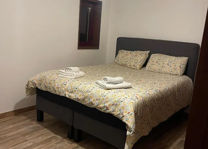 Catloc & Kitcat Local Costa de Além